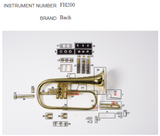 Bach, Cornet, Flugelhorn, Trombone, & Trumpet Valve Repair Kit