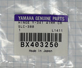 Replacement Hinges, Yamaha Trombone Case