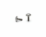 Bach Trombone Bass & Tenor, Stop Arm Retaining Screw