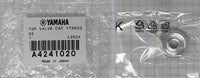 Yamaha Top Valve Cap, Yamaha Pro Trumpet and many Others, Silver-Plate