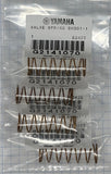 Yamaha G2141070 valve spring x4