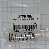 Yamaha G2141070 valve spring