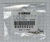 Yamaha Flute, Pad Washer & Screw Sets, Choose Your Size