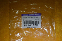 Valve Springs, Yamaha Tuba and Sousaphone (YSH), Set of 3 or 4