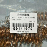 Valve Springs, Yamaha Euphonium & Tuba, Set of 3 or 4