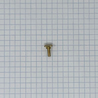 Lyre Screws, Universal Brass Finish