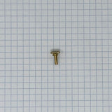 Lyre Screws, Universal Brass Finish